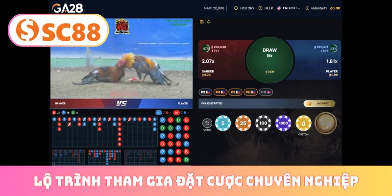 Lộ trình tham gia đặt cược chuyên nghiệp